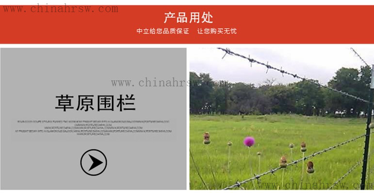 刺绳防护网 刺绳防护网